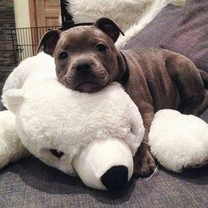 Meet your Posher, Ella